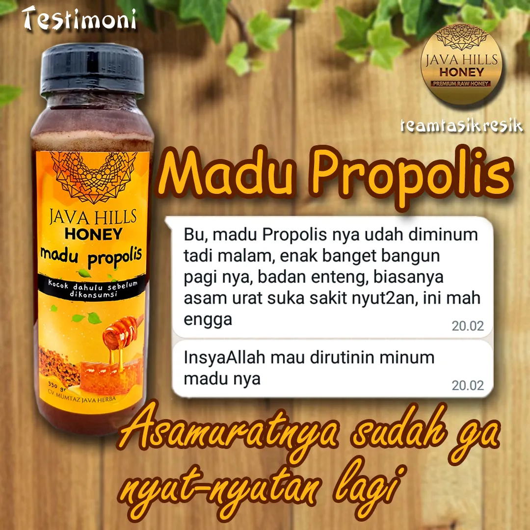 Madu Propolis